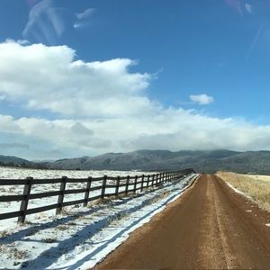 Meet your Posher, Molly